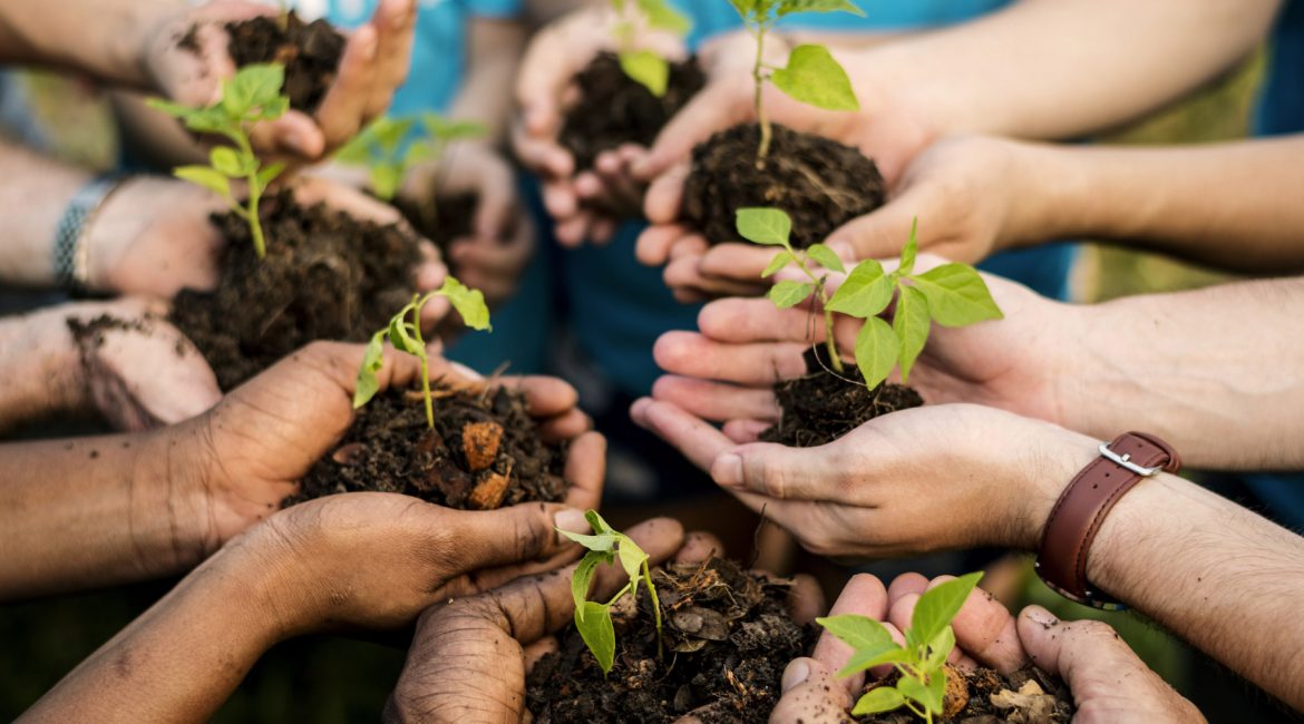 plasbel sostenible plantando plantas